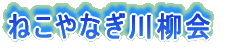 N̑